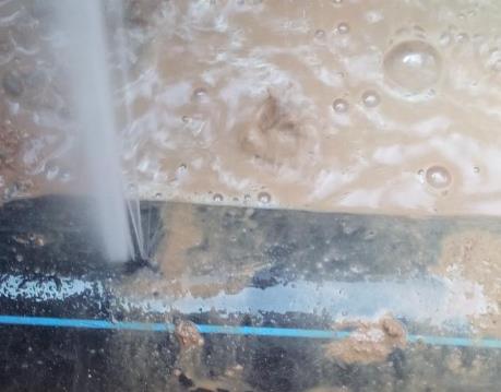 金东卫生间防水哪家好